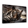 Wallity Pintura Decorativa de Vidrio Templado Multicolor 70 x 110 cm